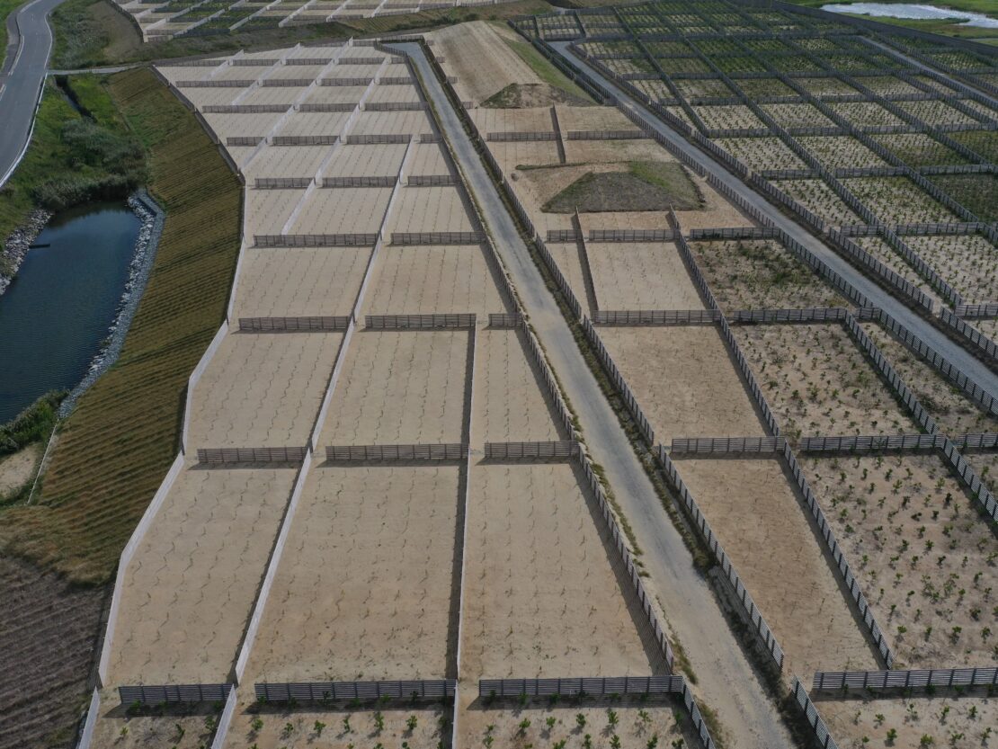 防災林造成（復興創生）0211業務　小高地区