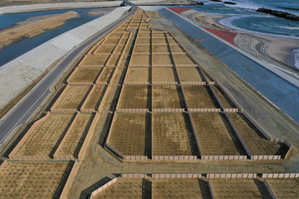 現場名：防災林造成（復興創生）0103業務　小高地区