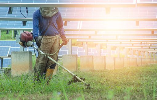薬剤を散布する様子
