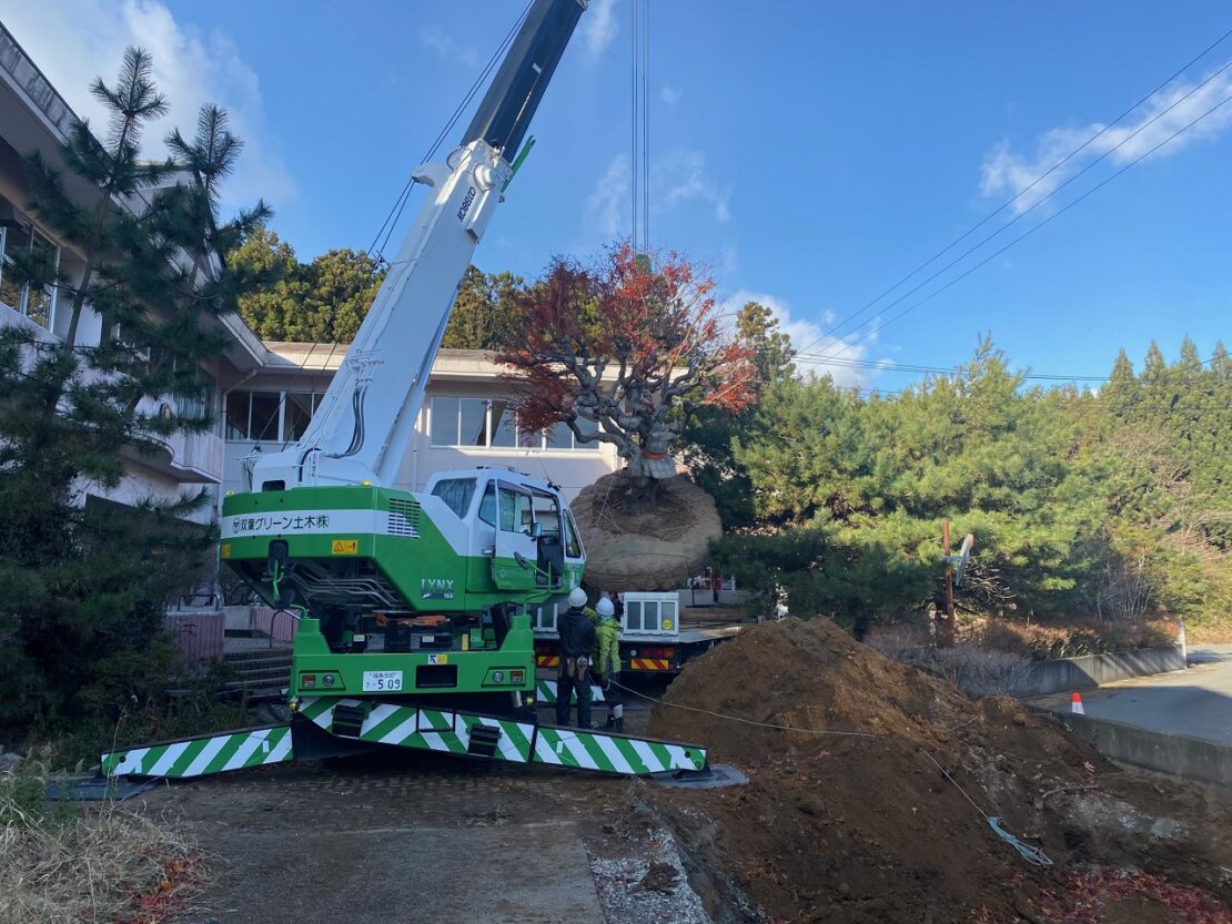 もみじを運ぶ様子2