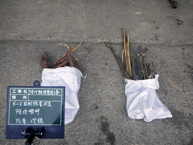 枝葉・根をサンプリングする様子