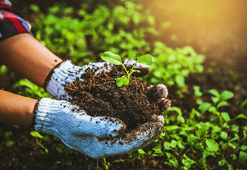 土をすくう写真